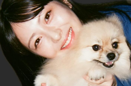 浜辺美波年収が衝撃の5億円超！最新ギャラ内訳と驚愕の私生活