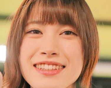 豆柴の大群カエデ結婚の噂は本当か 消えた現在と復帰説の全内幕