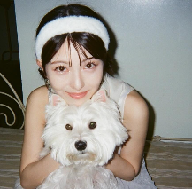 浜辺美波年収が異次元すぎる理由とはCM出演料と資産の全内幕